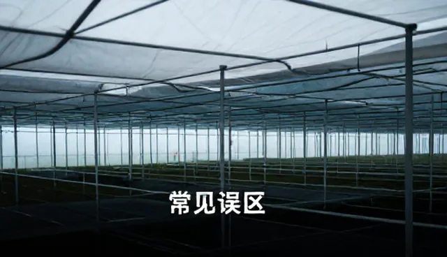 农产品决策流程优化:实际取舍的科学方法